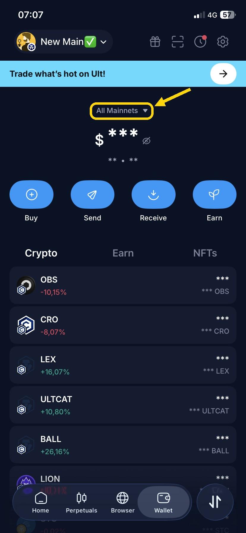 Tap “All Mainnets” at the top.